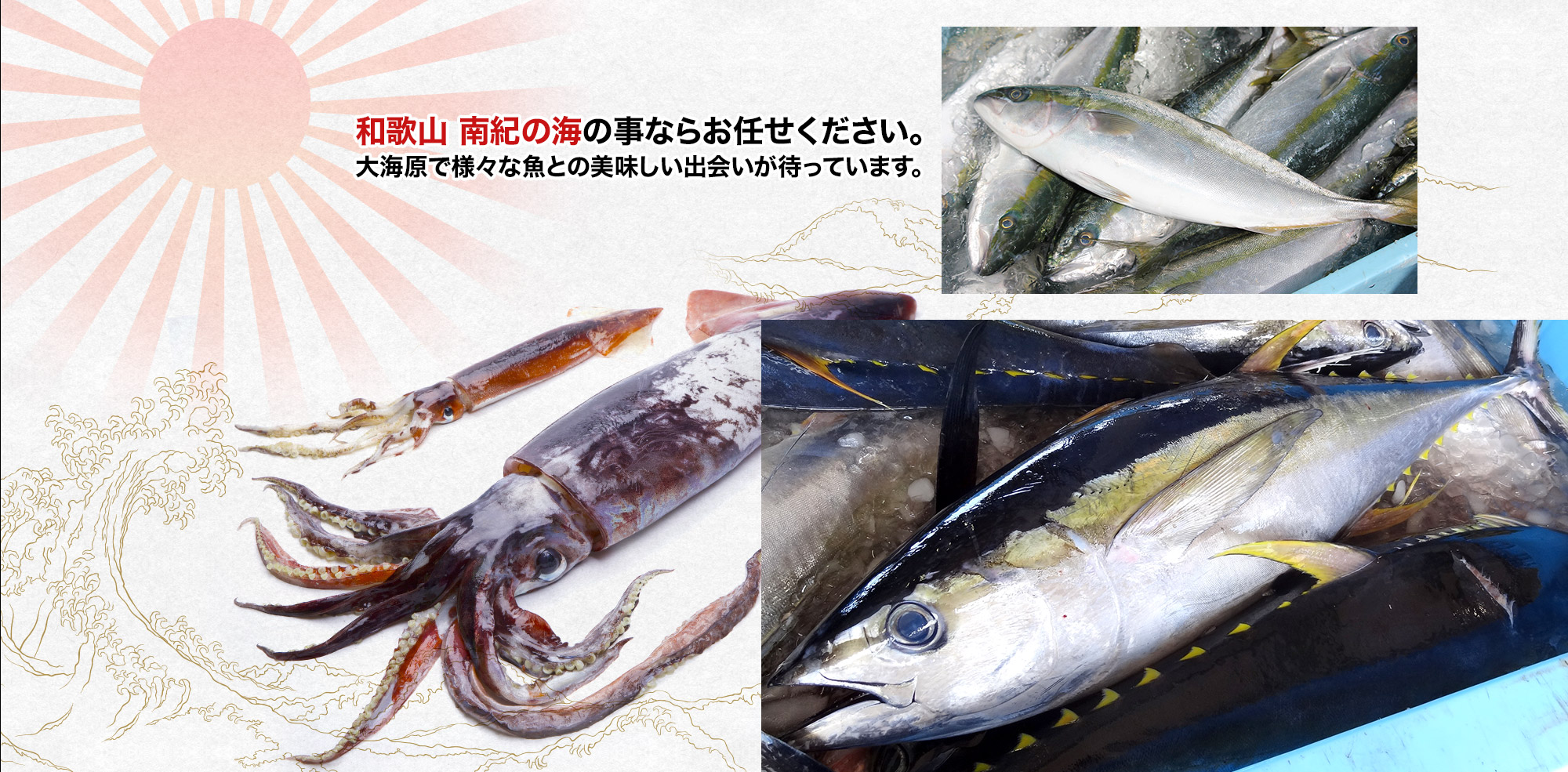 「第一昇龍丸」和歌山 南紀の海の事ならお任せください。大海原で様々な魚との美味しい出会いが待っています。
